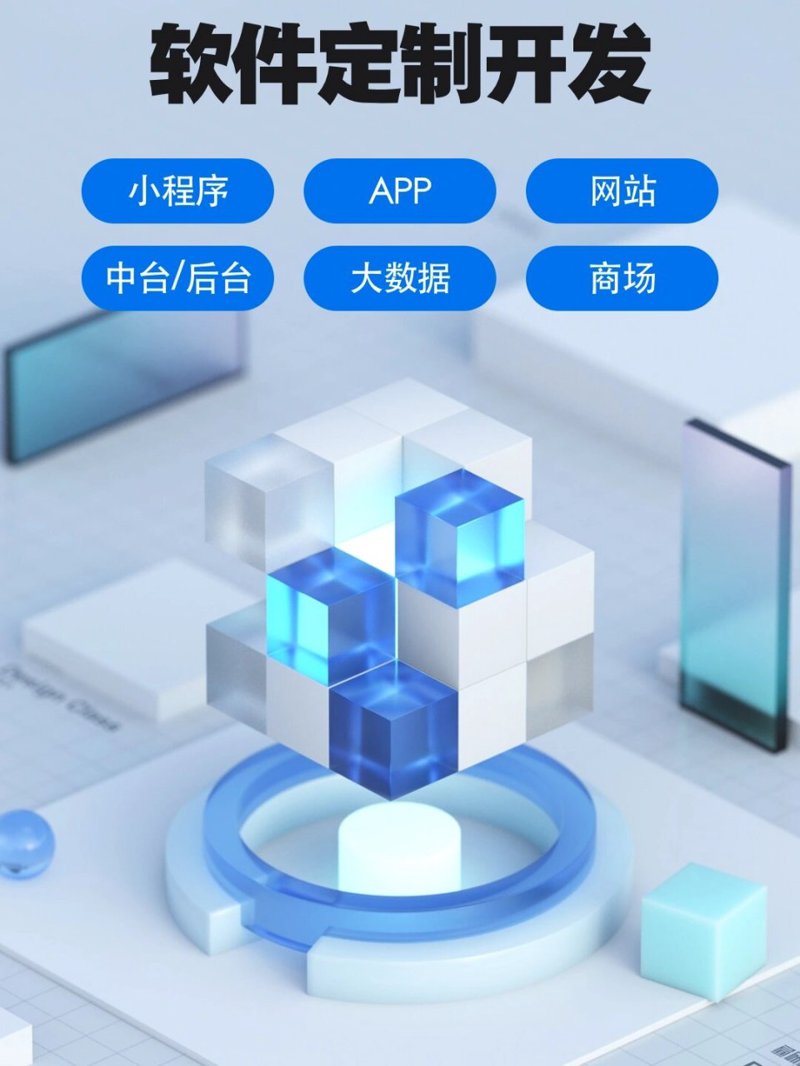 软件定制开发：个性化服务助力企业数字化转型