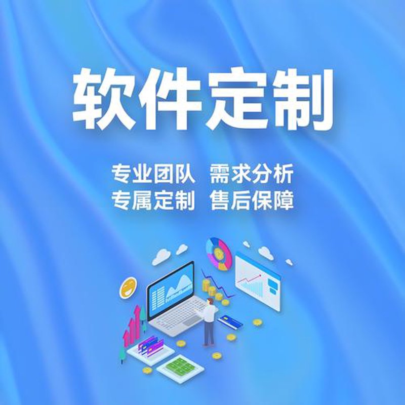 软件定制开发:构建企业专属信息化武器